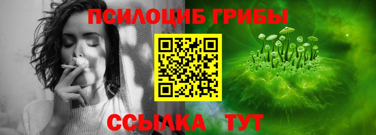 Псилоцибиновые грибы Psilocybine cubensis  Вход с VPN  Псилоцибиновые грибы Psilocybe  Лесной 